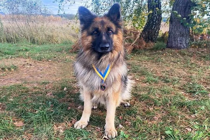 Пес волинського підрозділу отримав медаль «За віддану службу» (фото)