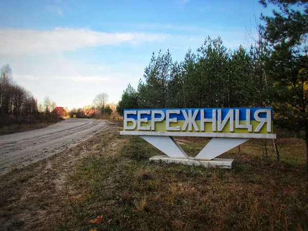 Волинське село, яке двічі «виселяли», лише у 90-х отримало світло (фото)