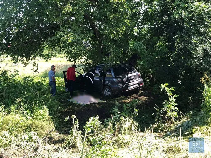 Влетів у дерево: на Волині сталася смертельна ДТП (фото)