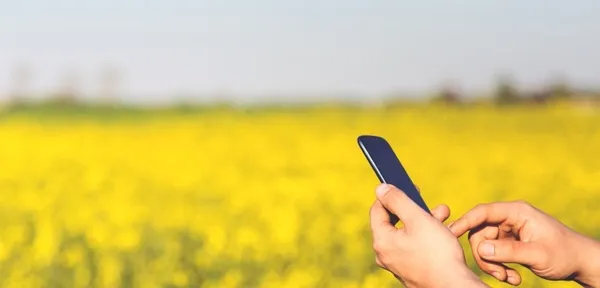 У скільки обійдеться заробітчанам місяць проживання в Польщі