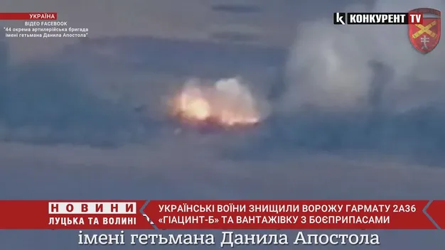 ЗСУ ефектно знищили ворожу гармату (відео)