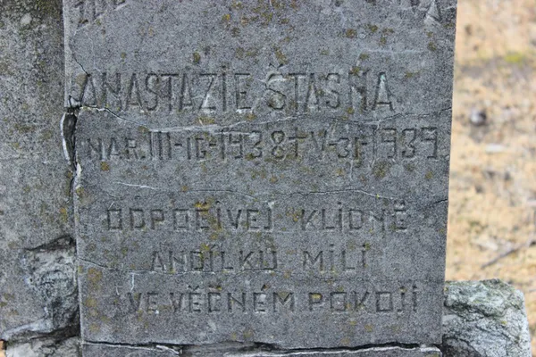 Кіт і могили забутих дітей: (не) містична прогулянка липинським цвинтарем (фото)