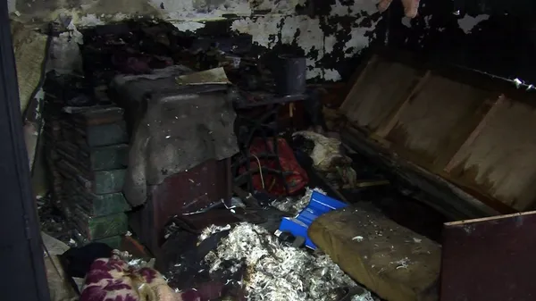 Назвали ймовірну причину пожежі в селі під Луцьком, де загинуло двоє чоловіків (фото, відео)