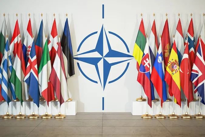 Відомий український письменник закликав не критикувати НАТО