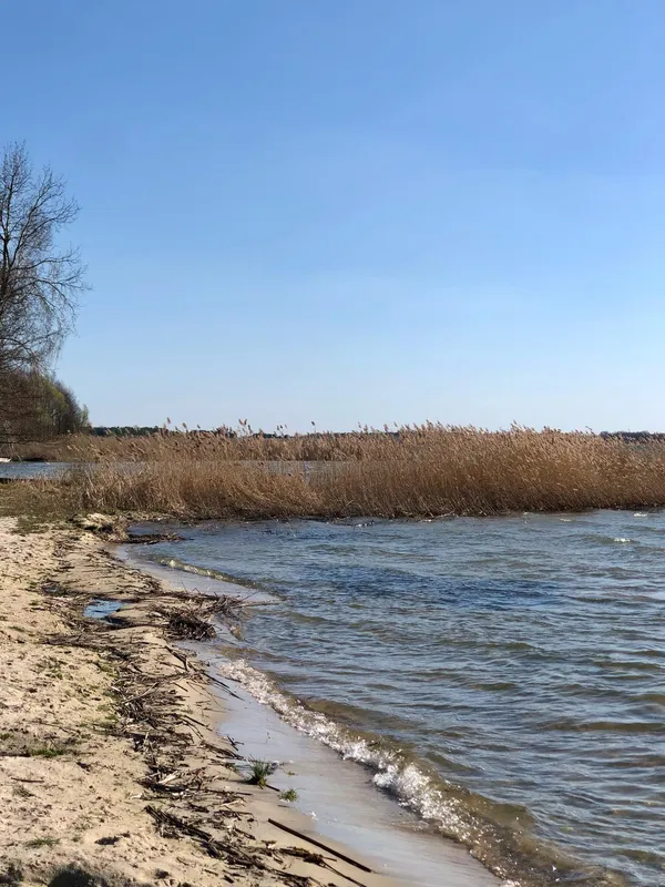 Море серед лісу: волинські морські краєвиди закохують мережу (фото)