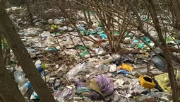 Луцький депутат два роки бореться проти стихійного сміттєзвалища (фото)