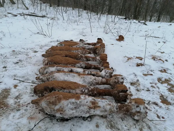 На Волині піротехніки знищили авіабомбу, снаряд і міни (фото)