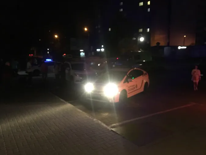 Бились та пручались: у Луцьку затримали агресивних чоловіків (фото)