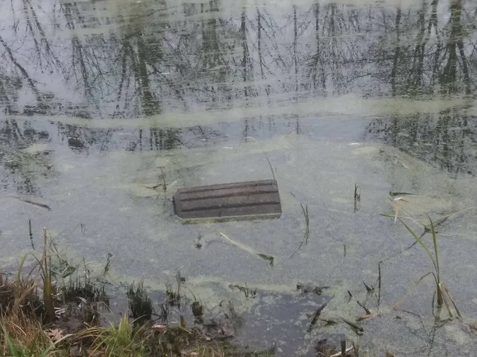 У луцькому парку вандали потопили смітники (фото)