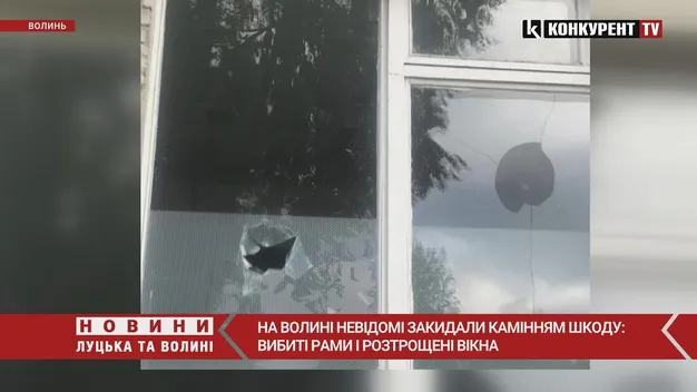 На Волині вандали пошкодили вікна ліцею (відео)