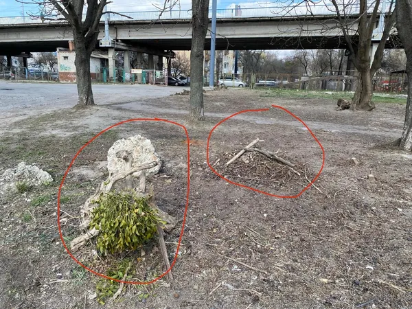 Лучани просять вивезти органічне сміття під шляхопроводом (фото)