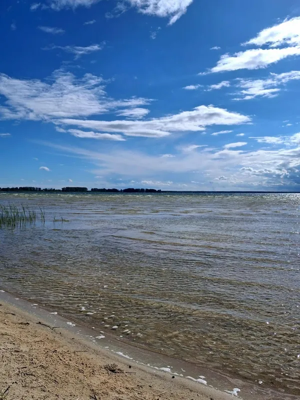 Світязь вразив незвичним видовищем: вода в озері стала схожою на рідке срібло (фото)