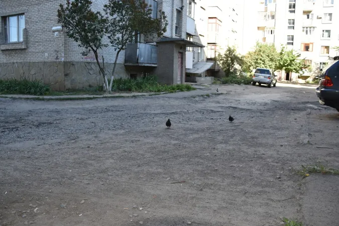 Дитмайданчики і LED-освітлення: у Луцьку відремонтують двори (фото)