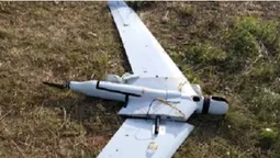 За дві доби ЗСУ знищили майже 20 безпілотників рашистів (фото, відео)