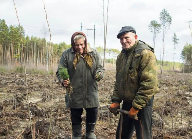 Через карантин лісівники Волині садитимуть ліс самостійно, без волонтерів