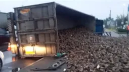 На Дубнівському перехресті в Луцьку перекинулася вантажівка з буряками (фото, відео)