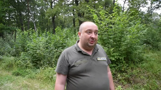 Піар євробляхарів, чи й справді на Волині крадуть ліси?