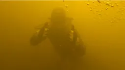 Що підіймають водолази з дна Стиру та хто там живе (відео)
