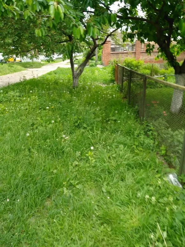 Луцьких підприємців просять підстригти газони (фото)