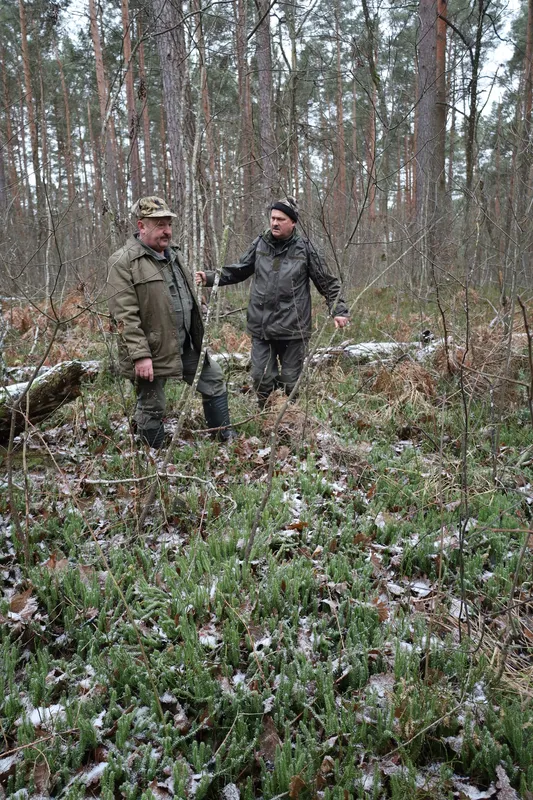 У нацпарку на Волині помітили червонокнижного звіра