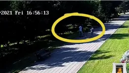 Похизувався: у центральному парку Луцька хлопець пошкодив клумбу (відео)