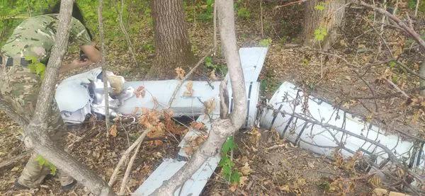 Українська авіація завдала ударів по позиціях росіян на Донеччині (фото)
