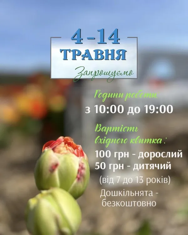 Волинська Голландія: як працюватиме та скільки коштує