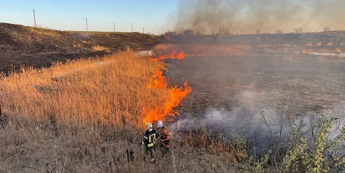 «Тільки сонце блиснуло!»: на Волині палії знов взялися за своє (фото)