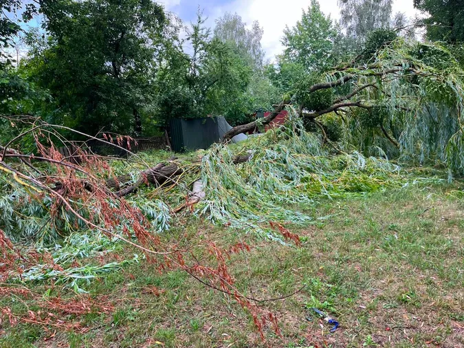 Буревій наробив біди у Шацьку: що відомо (фото)