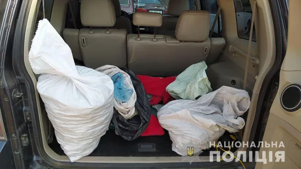 В автомобілі волинянина знайшли 45 кілограмів бурштину (фото)