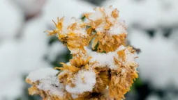 Луцький зоопарк кличе заземлятися (фото)