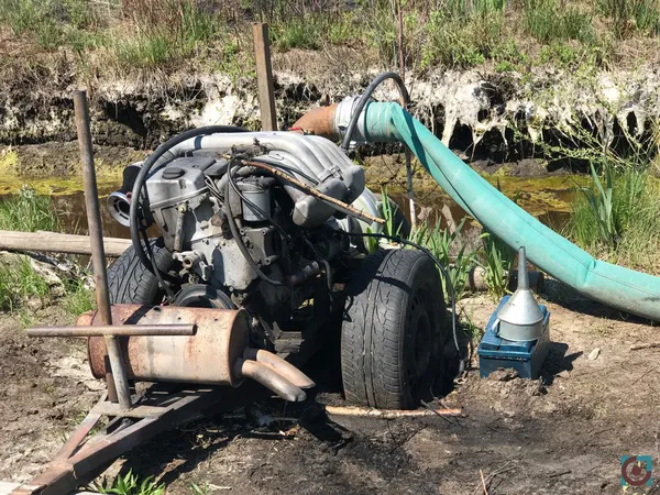 Бурштиновий промисел на карантині: що відбувається на поліських клондайках (фото, відео)