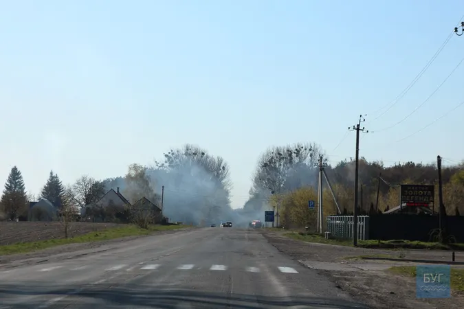 Біля Володимира загорівся ліс: ймовірно, через підпали сухої трави (відео)