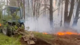 Унікальні скарби природи – під загрозою: у лісі на Волині спалахнув вогонь (відео)