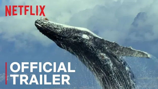 Назвали ТОП-10 найпопулярніших серіалів Netflix (відео)