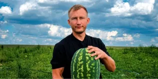 «Помідори файні, кавуни – суперові»: як подружжя з Волині вирощує 30 сотих баштанних (фото, відео)