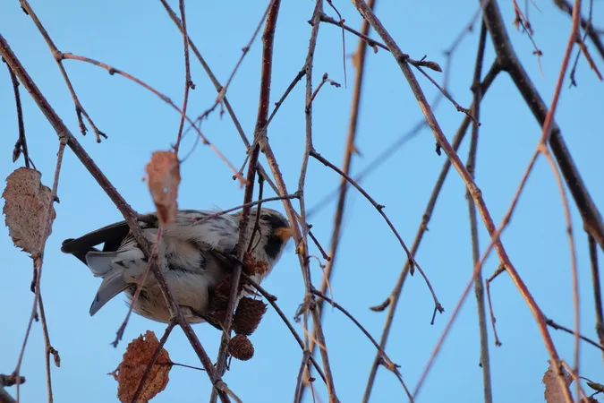 Фотографи показали засніжену природу Луцька