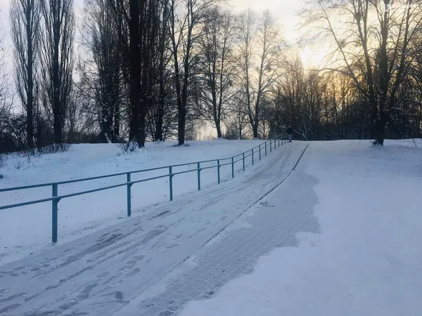 Де у Луцьку покататися на санчатах: карта снігових гірок міста (+фото)