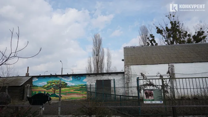 Бентежні носики та ніжні квіти: весна у Луцькому зоопарку (фото)