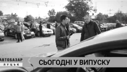 Луцький автобазар: ціни, моделі та комплектація автівок 2010-2011 років випуску
