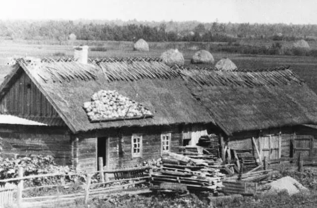 Ви будете здивовані: у якому несподіваному місці колись зберігали гарбузи на Волині (ретрофото)
