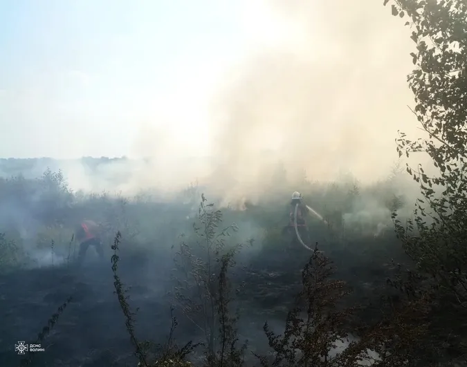 Через необережність з вогнем на Волині сталися п'ять пожеж у полях (фото)