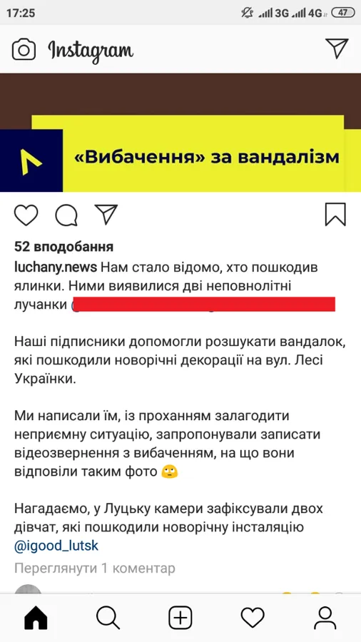 «Ми вже вибачилися», – знайшлися луцькі «ялинкові вандалки» (фото)