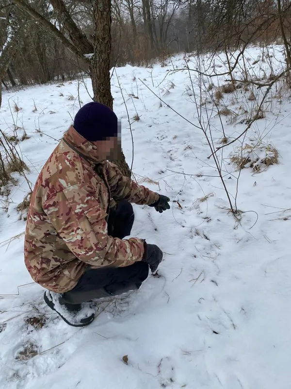 Рубали дерева і розставляли пастки на тварин: на Ковельщині зловили лісопорушників (фото)