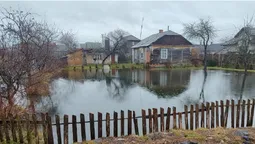 Аномальний січень: городи волинян перетворилися на ставки (фото)