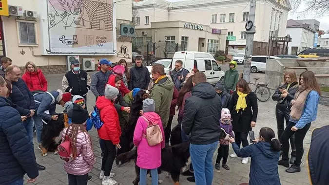 У центрі Луцька закружляв «собачий» вальс (фото, відео)