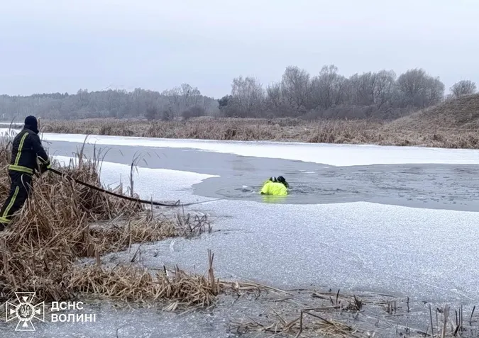 На Волині рятувальники витягнули собаку з крижаної Турії (фото)