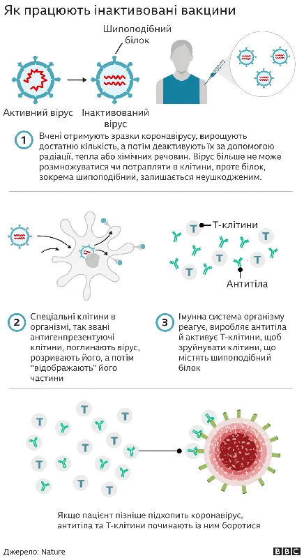 Вакцина CoronaVac: наскільки ефективна, безпечна і кому рекомендована
