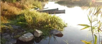 На Волині досліджували дику природу Стоходу: шукали бобрів, а зустріли норку та червонокнижного птаха (фото)