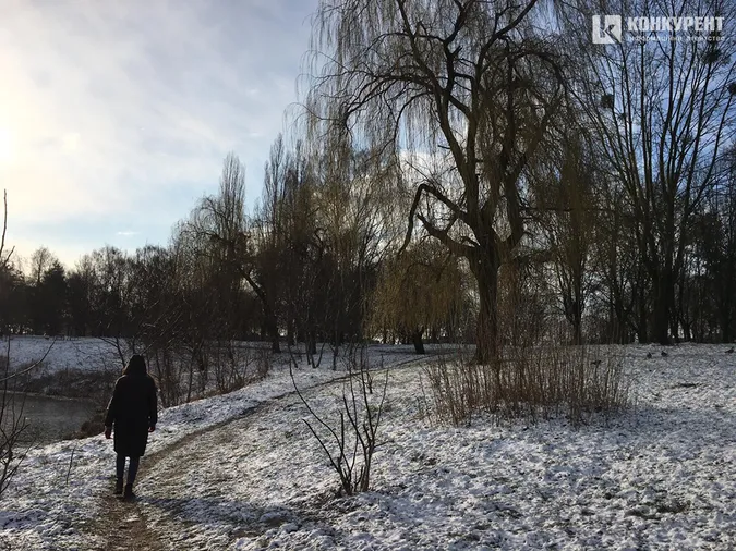 Сніг у березні: фото луцького парку